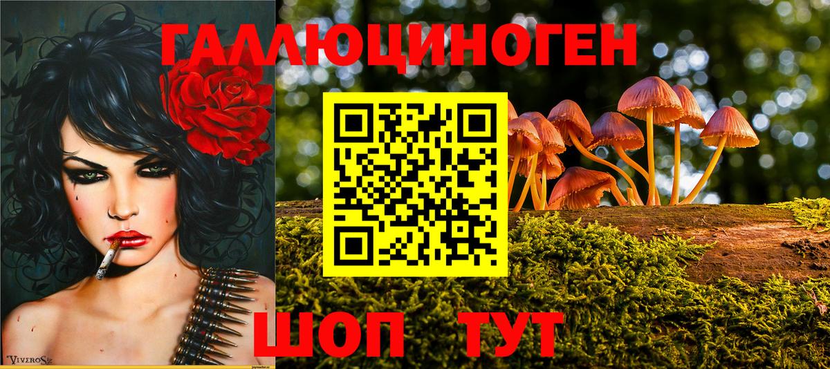 Галлюциногенные грибы прущие грибы  Вход с VPN  Галлюциногенные грибы мицелий  Аргун 