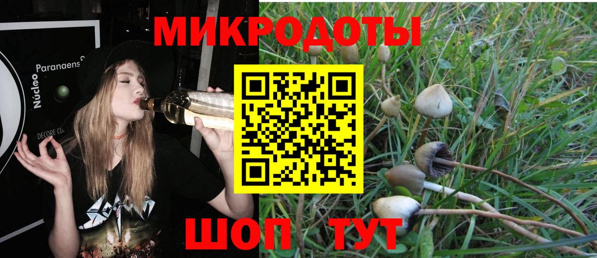Галлюциногенные грибы Psilocybine cubensis Аргун